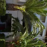 Digenis Hotel de apartamente